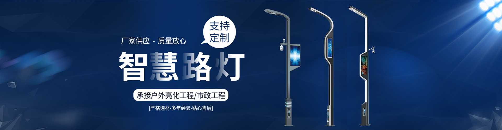 色尼区太阳能路灯定制厂家