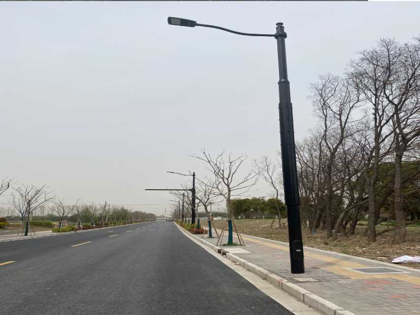 色尼区上海综合杆 太阳能路灯工程